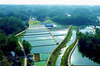 市中區:專業指揮部&ldquo;夯基&rdquo; 園區建設出彩出效