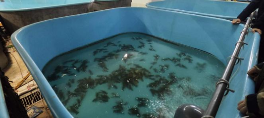 新征程再奮斗,新疆吉木乃調(diào)研學(xué)習(xí)拓視野