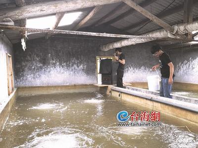 中俄(工業(yè))創(chuàng)新大賽中國(guó)賽區(qū)選拔賽在廈舉行