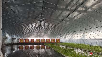 &ldquo;魚兒上樓、南魚北養&rdquo;成為現實--湖北聚源之漁生物工程技術引進農業工業化生產模式