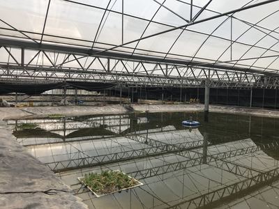 協(xié)會前往簡陽市大眾養(yǎng)殖有限責任公司考察調(diào)研