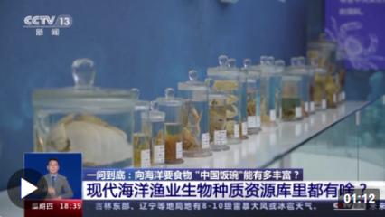 向海洋要食物,&ldquo;中國(guó)飯碗&rdquo;會(huì)有多豐富?建設(shè)&ldquo;藍(lán)色糧倉(cāng)&rdquo;我們這么干