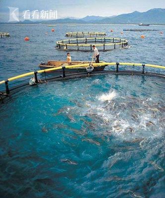 上海研發(fā)深遠(yuǎn)海養(yǎng)殖工船 未來(lái)可培育品質(zhì)接近野生的海魚(yú)