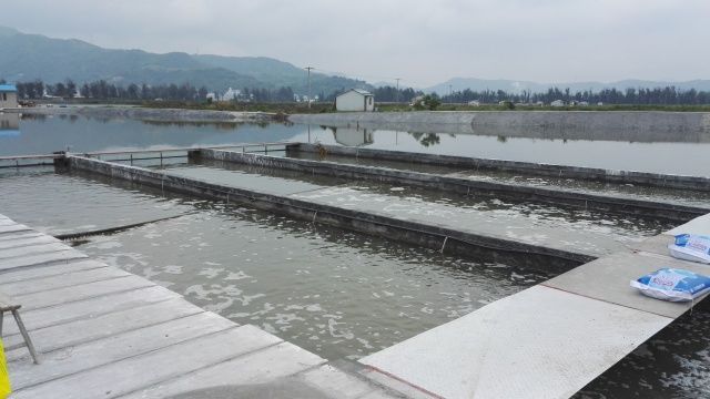 關注 | 還記得讓天敵共存的&ldquo;共享池塘&rdquo;嗎?這項養(yǎng)殖&ldquo;黑科技&rdquo;入選省重點研發(fā)計劃項目啦!