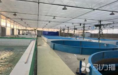 已達(dá)14家!蘇州新增6家水產(chǎn)類省級(jí)特色優(yōu)勢(shì)種苗中心