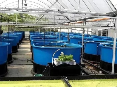 農(nóng)業(yè)農(nóng)村部:&ldquo;五大行動(dòng)&rdquo;推進(jìn)水產(chǎn)養(yǎng)殖業(yè)綠色發(fā)展