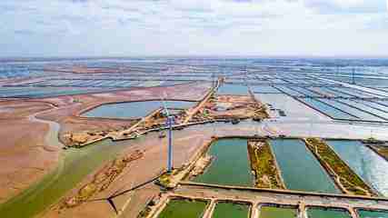 科技人才為藍色產業提底氣