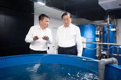 王忠林調(diào)研民營企業(yè)發(fā)展并召開座談會