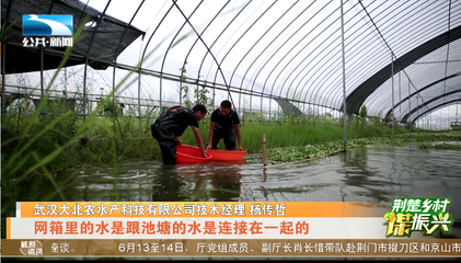 荊楚鄉(xiāng)村謀振興 | 湖北本土茄子是如何走向全國?