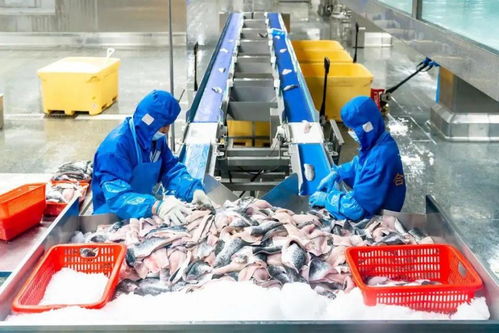 科技引領(lǐng)龍頭帶動(dòng),三水都市農(nóng)業(yè)綻放光彩 奮戰(zhàn)百千萬 三水譜新篇 系列圖集