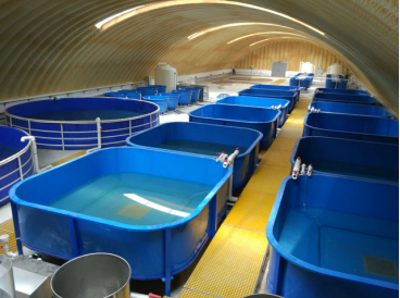 工業(yè)化養(yǎng)殖工程學(xué)研究與裝備研發(fā)-中國水產(chǎn)科學(xué)研究院漁業(yè)機(jī).