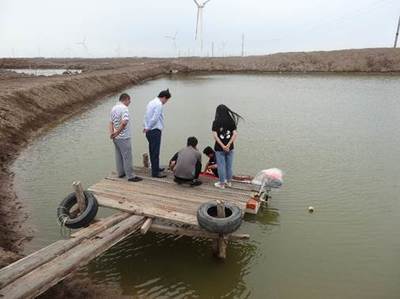 &ldquo;玻化癥&rdquo;突襲對(duì)蝦產(chǎn)業(yè) 黃海所專家赴一線排憂解難