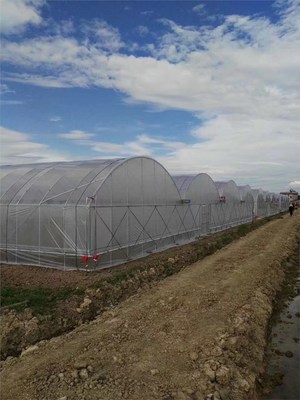 大棚鋼架水產(chǎn)養(yǎng)殖大棚規(guī)格齊全