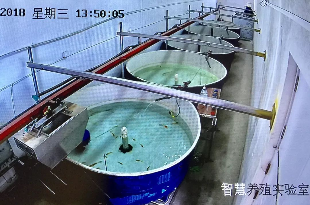 全國媒體看煙臺!海洋強市的&ldquo;煙臺范兒&rdquo;占據頭條!