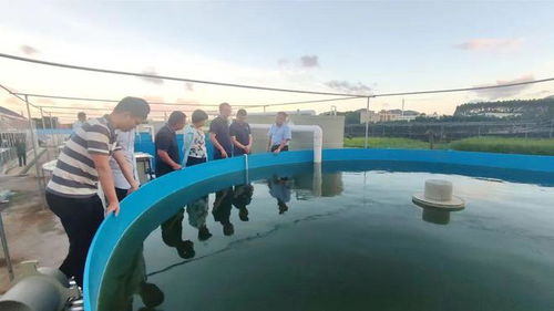 技術(shù)大拿間的 夢幻聯(lián)動(dòng) 海之味與集美大學(xué)水產(chǎn)學(xué)院達(dá)成戰(zhàn)略合作,開啟牛蛙技術(shù)研發(fā)新篇章