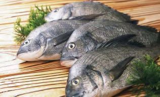 水產(chǎn)品中應(yīng)檢測(cè)哪些違規(guī)藥品