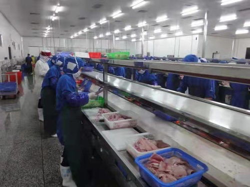 化州全力推動(dòng)羅非魚產(chǎn)業(yè)由大市轉(zhuǎn)向強(qiáng)市，助力農(nóng)家樂(lè)休閑觀光服務(wù)升級(jí)