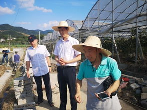 水產(chǎn)養(yǎng)殖災后恢復技術指導 浙江磐安、德清兩地行