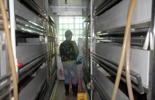 科技賦能生態(tài)養(yǎng)殖 茂名星火水產(chǎn)工廠化仿生態(tài)黃喉擬水龜養(yǎng)殖技術探索