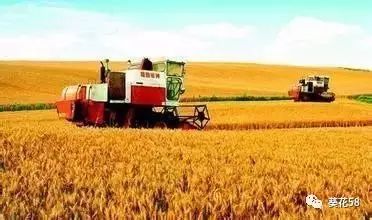 今年農業(yè)整體呈現(xiàn)'四漲一降'態(tài)勢，水產(chǎn)養(yǎng)殖表現(xiàn)突出